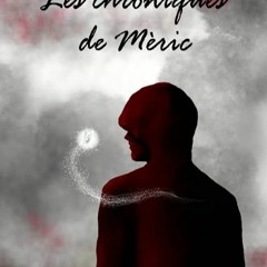 ⭐ DESCARGAR EPUB Les chroniques de Mèric (French Edition) Free