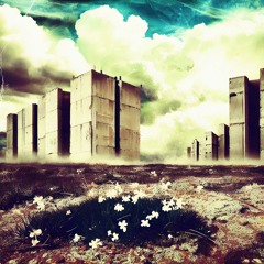 Fallande Stjärnor Inatt