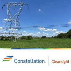 Remote Visual Inspections and How They Work