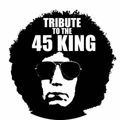 Tribute To The 45 King