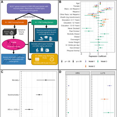 TraMA: New RNA-Based Measure Predicts Mortality Risk and Tracks Aging