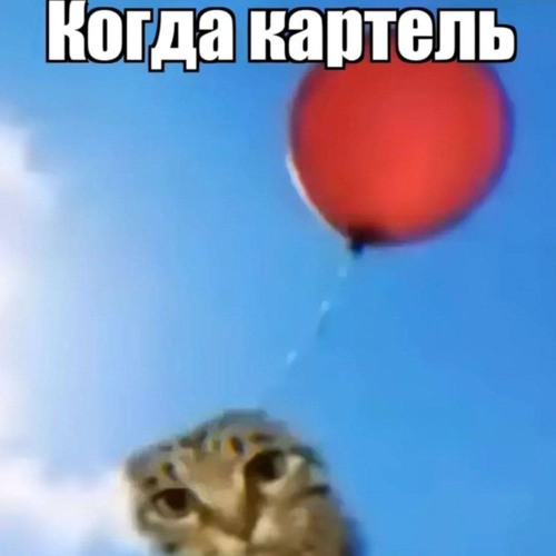 НОМЕР ДРАГДИЛЫ