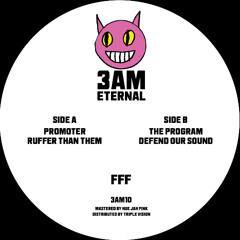 3AM010 B1 FFF - The Program