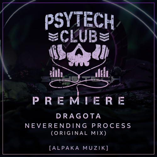 PREMIERE: Dragota- Neverending Process (Original Mix) [Alpaka Muzik]