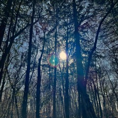 aliens are f#king real