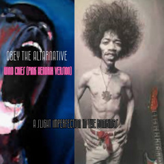 obey the altarnative. wind cries (pink hendrix version)