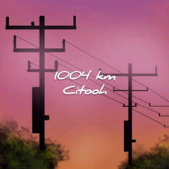 1004 km