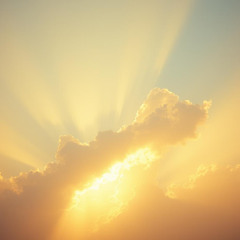 Have You Ever Thought About