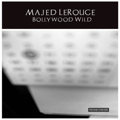 Bollywood Wild (Radio-Edit)