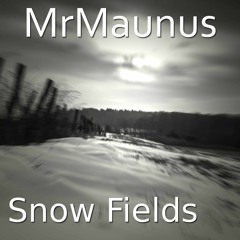 MrMaunus - Snow Fields (3_4_2022)