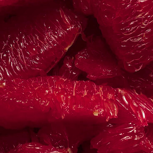 honeymel : Sip into something soft - 02 Septembre 2025