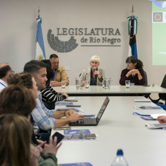 Norma Mora - Viedma fue sede del encuentro de CRAIAS y dispositivos territoriales
