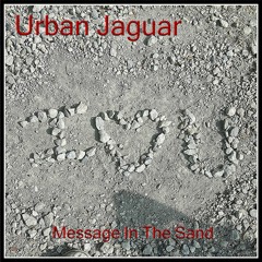Message In The Sand