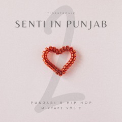 Senti In Punjab Vol. 2 | 2024 Valentine's Podcast | TIGERTRONIK