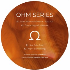 OHM009 - STAR_DUB - Forst (Ohm Series#9)