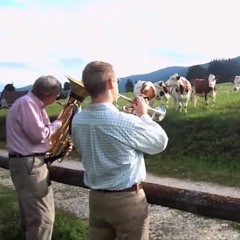 bad mood exercise iii: i wish