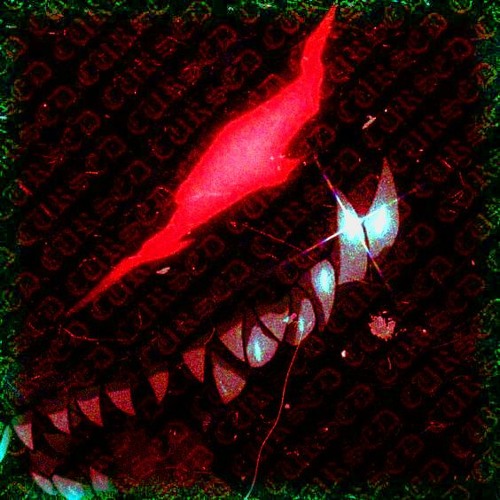 SPLxT (OPEN COLLAB)