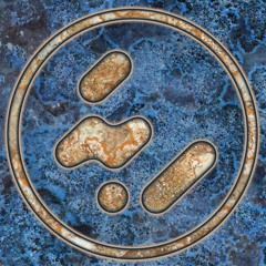 Dez Williams - Consuming Shadow (wood109 preview)