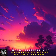 Moody Essentials 65 ~ #ProgressiveHouse #MelodicTechno Mix