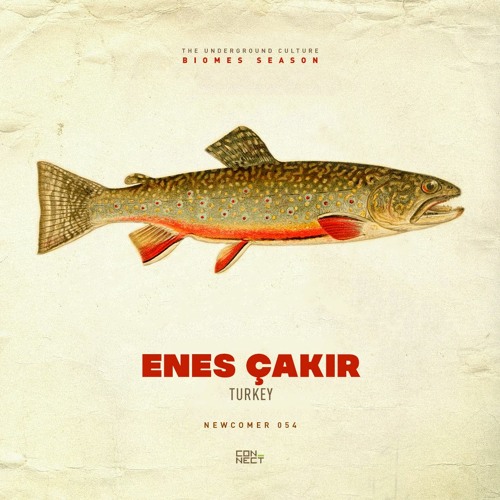 Enes Çakır @ Newcomer #054 - Turkey