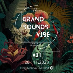 TGSV #31 hosted by Fabson - 20.11 - Organic/Deep House Mix