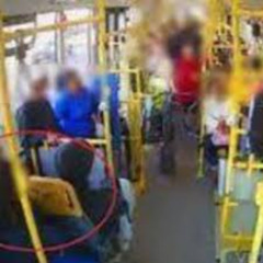 TREN@@ hoje vídeo da menina no ônibus cascavel 5x1 original portal zacarias