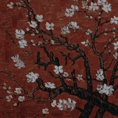 Galleria // demo + midnait