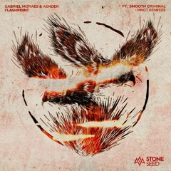 Gabriel Moraes & Aender - Flashpoint (Smooth Criminal Remix) [Stone Seed]