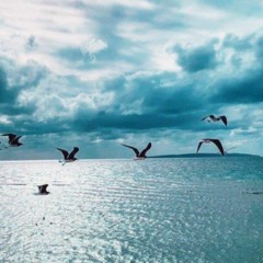 اللهم صل و سلم و بارك على سيدنا محمد