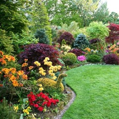 Colton Dixon - More Of You