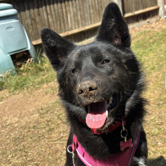 No One Ever Likes Me