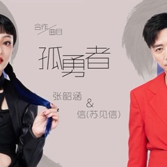 张韶涵 苏见信《孤勇者》