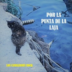 Por La Punta De La Laja