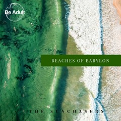 The Sunchasers - Beaches Of Babylon (Original Mix)
