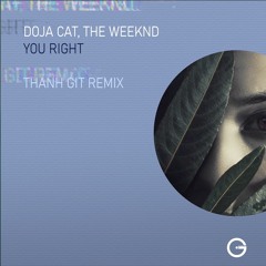 Doja Cats - You Right ( Thanh GiT Remix)