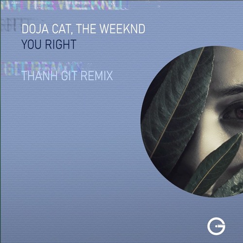 Doja Cats - You Right ( Thanh GiT Remix)