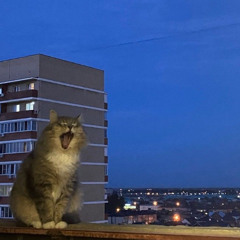 Rok (prawie freestyle)