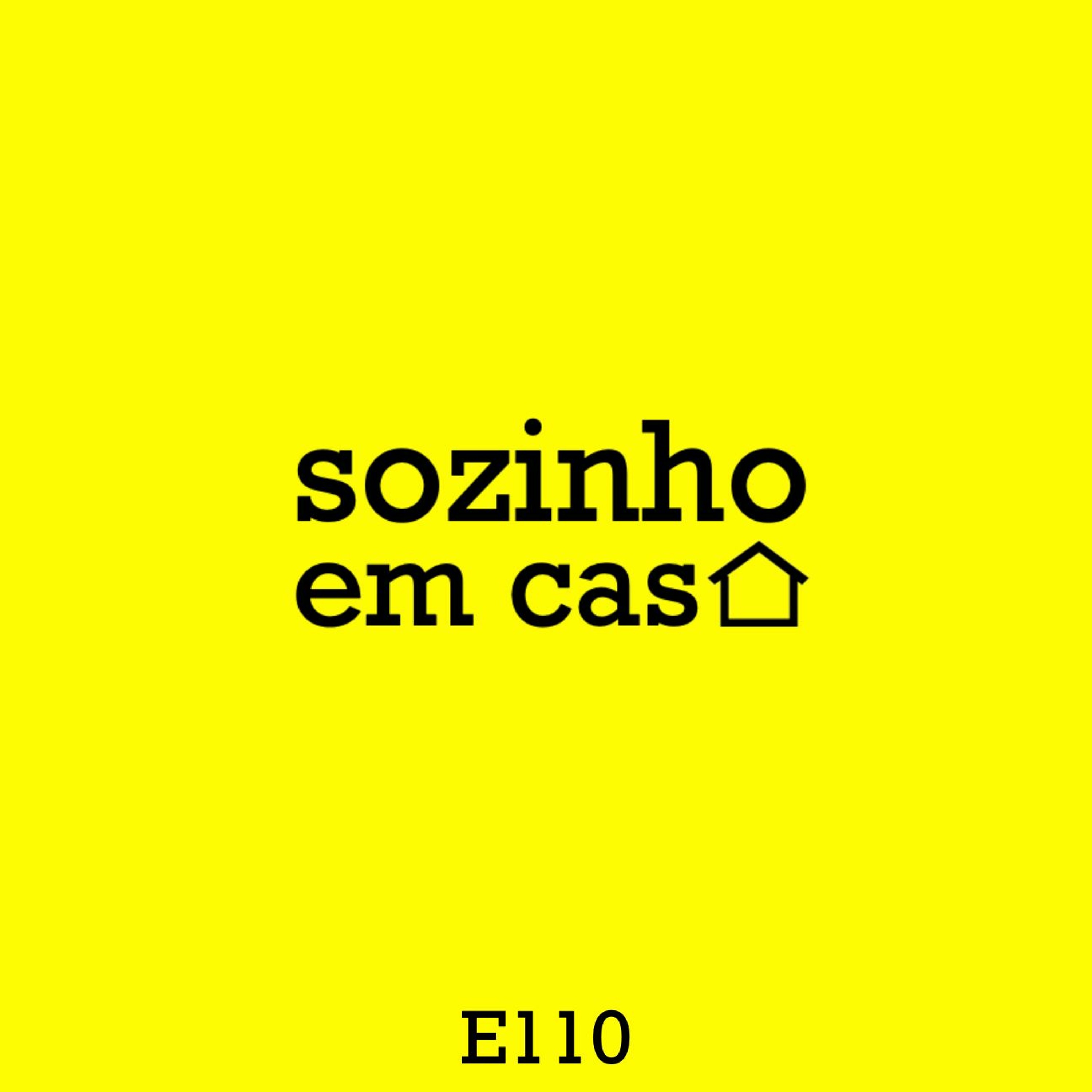 E110 |  ad hominem