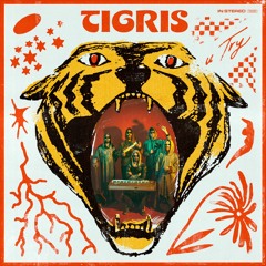 TIGRIS - TIGRIS