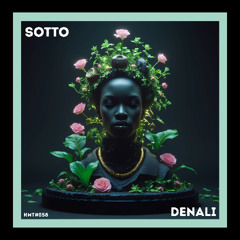 PREMIERE: Sotto - Denali (Original Mix)[KMT Records]