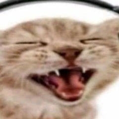 Baby - Justin Bieber speed up