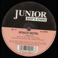 Roach Motel - Wild Luv (ORIGINAL MIX)