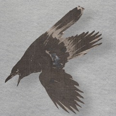 JON SNOW [p. longboystyle + sk + wrld]