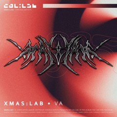 VA - XMAS:LAB 2024