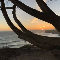 The Evening Muse w/ Mo: Ep 5. Synth you've been gone - Mar 21, 2023