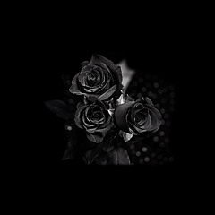 Mjbslime - My Life Don’t Matter