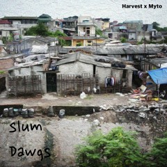 Slum Dawg - Harvest x Myto