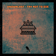 #DIGI-FI-DUB_004 - Downcast