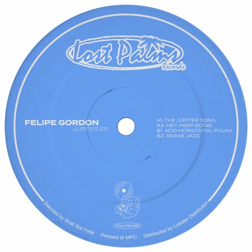 PREMIERE: Felipe Gordon - The Júpiter Song [PALMS028]