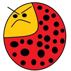 Pani Ludmiła Song (prod. Jake Angel Beats)